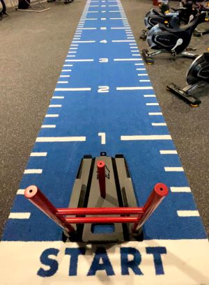 Gym MAR web
