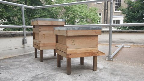 Passfield Halls Beekeeping
