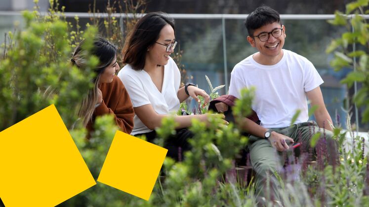 Staying well at lse